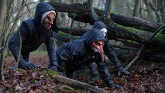 Corvidae media image
