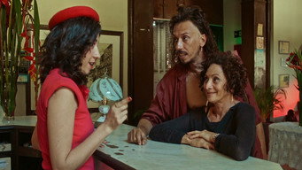 #10 Lispectorante