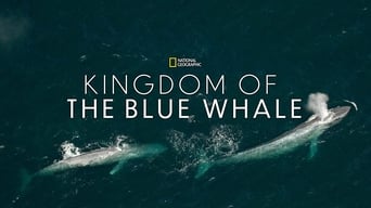 #2 Kingdom of the Blue Whale