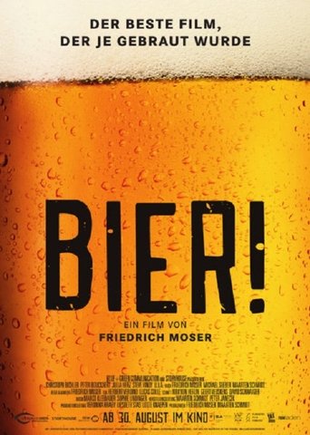 Der Bier-Film stream 