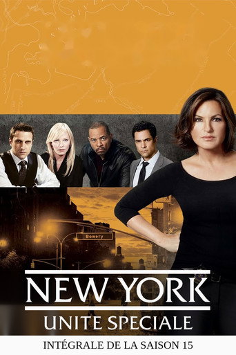 New York Unité Spéciale - S15 - Poster