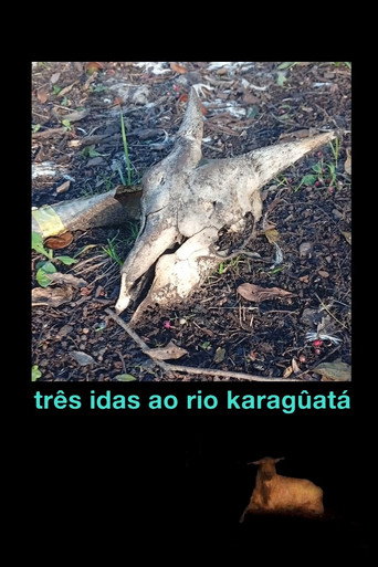 Três idas ao Rio Karagûatá