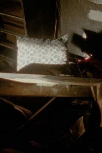 Agoda Asleep at Home