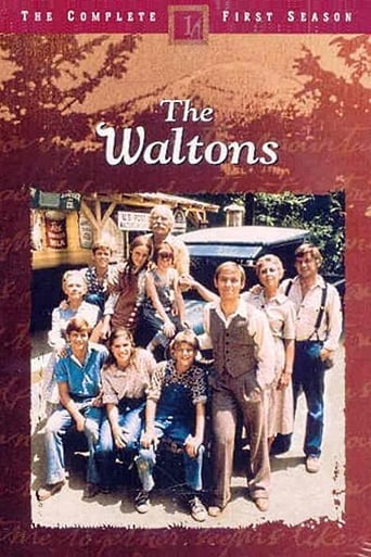 The Waltons Poster