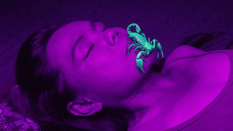 Ultraviolet media image