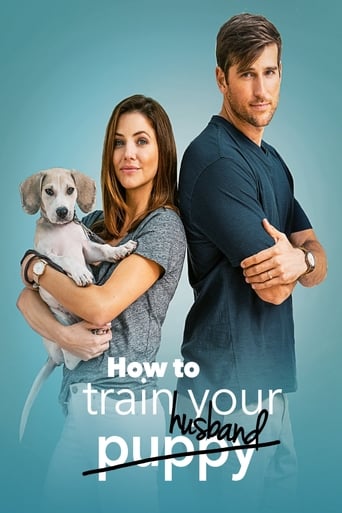 How to Train Your Husband Poster