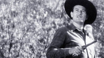 Sagebrush Trail (1933)