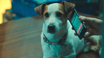 Episode 9 — Episode 9