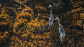 Legacy – Das Erbe der Menschheit foto 0