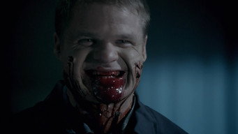 Дзеркала 2 (2010)