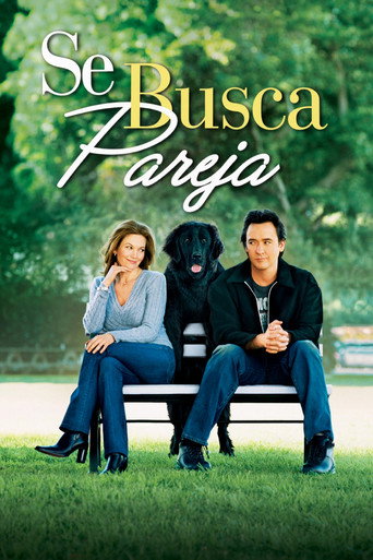 Póster de Se busca pareja