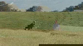 View Image