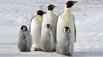 #4 March of the Penguins 2: The Next Step