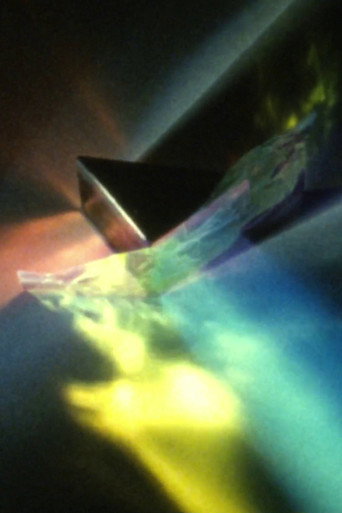 Fluid Fragments (2023)