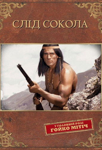 Слід сокола