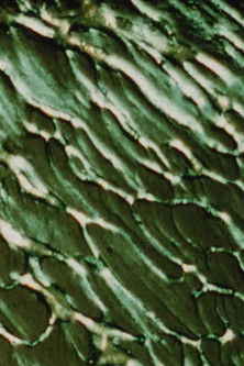 The Galilean Satellites - Europa poster