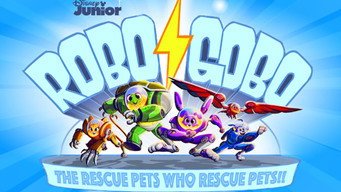 #5 Robogobo