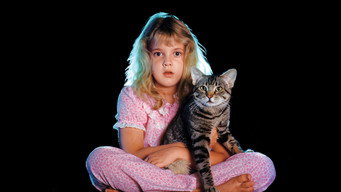 Cat's Eye backdrop 2