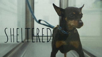 Sheltered (2020)
