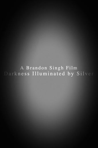 Darkness Illuminated by Silver poster