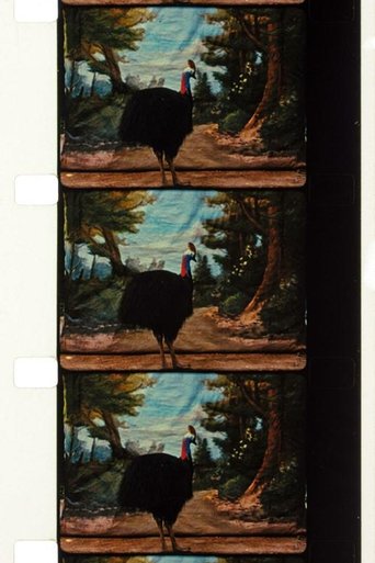 Cassowary (2010)