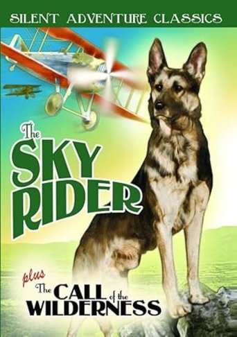 The Sky Rider (1928)