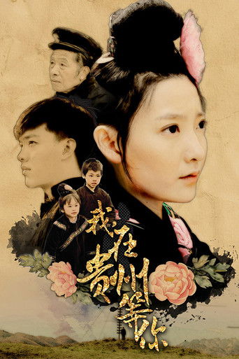 我，在贵州等你 poster