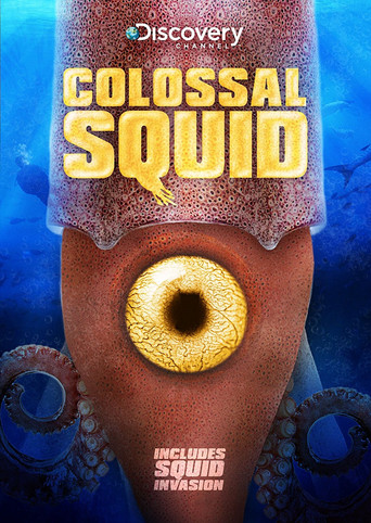 Colossal Squid (2008)