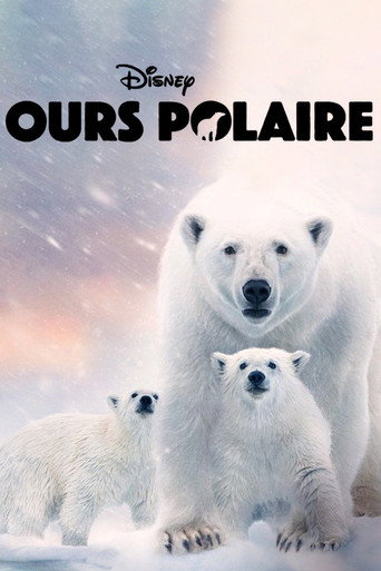 Affiche de Ours polaire