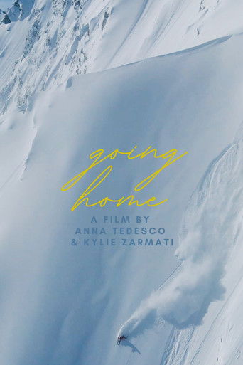 Cartell de Going Home