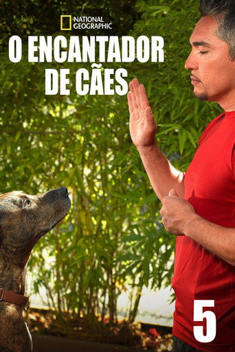 O Encantador de Cães - Temporada 5