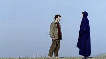 The Secret Face (1991)