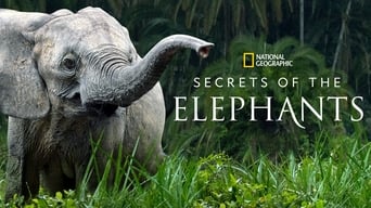 #9 Secrets of the Elephants