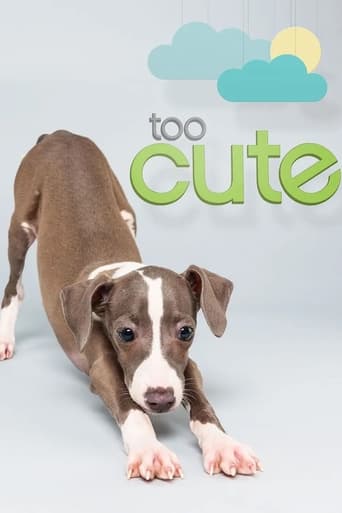 Too Cute: Season 5