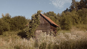 #20 Hymn from the Hive