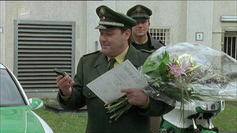 Episode 8 — Episode 8