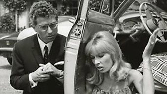 Jaloux comme un tigre (1964)