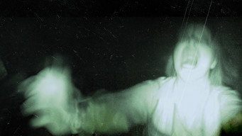 Paranormal Investigations (2026)
