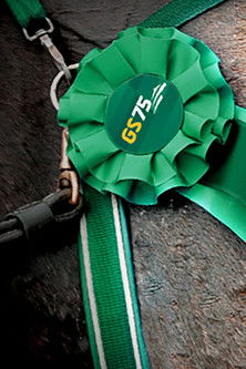 ATG: GS75 Svepet poster