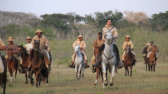 El Mayor (2020)