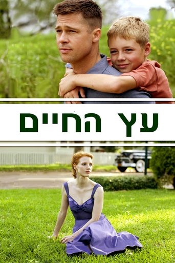 עץ החיים