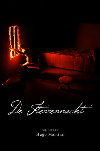 De Sterrennacht poster
