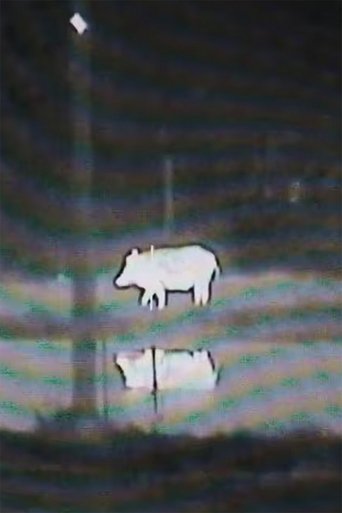 God lives in Beaumont, Texas poster