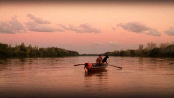 El sueño del perro (2008)