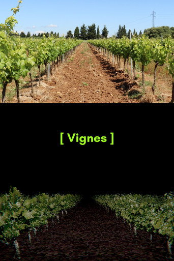 [ Vignes ]
