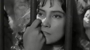 Ненадісланий лист (1960)