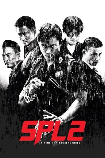 殺破狼2 (2015)