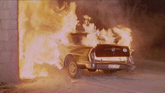 I Hate My Body (1974)