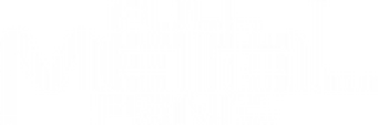 Full Metal Panic! logo