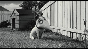 Frankenweenie